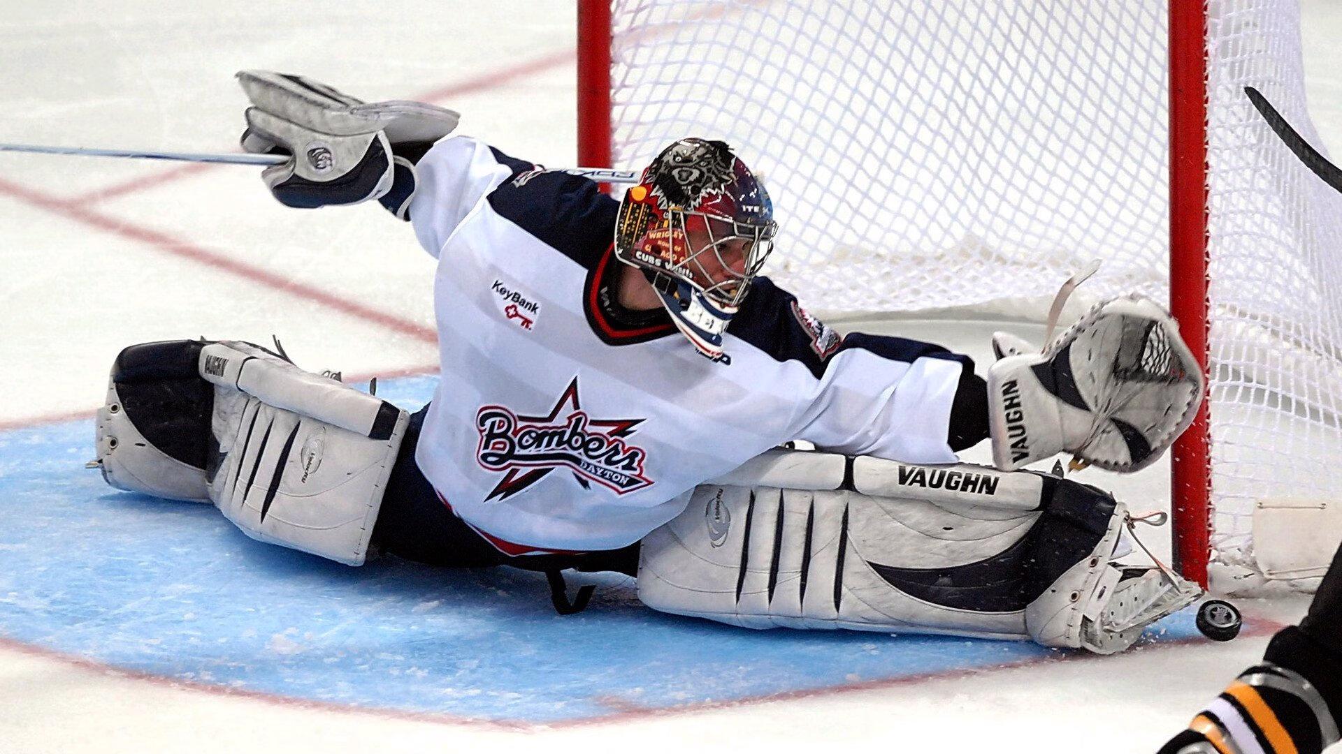 维达德卡萨布兰卡签约新赞助商,提升品牌影响力,大伟卡萨布兰卡