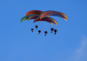 英超球队结合疲劳评分系统动态分配替补上场时机，英超伤病报告_球员受伤成本逐年攀升